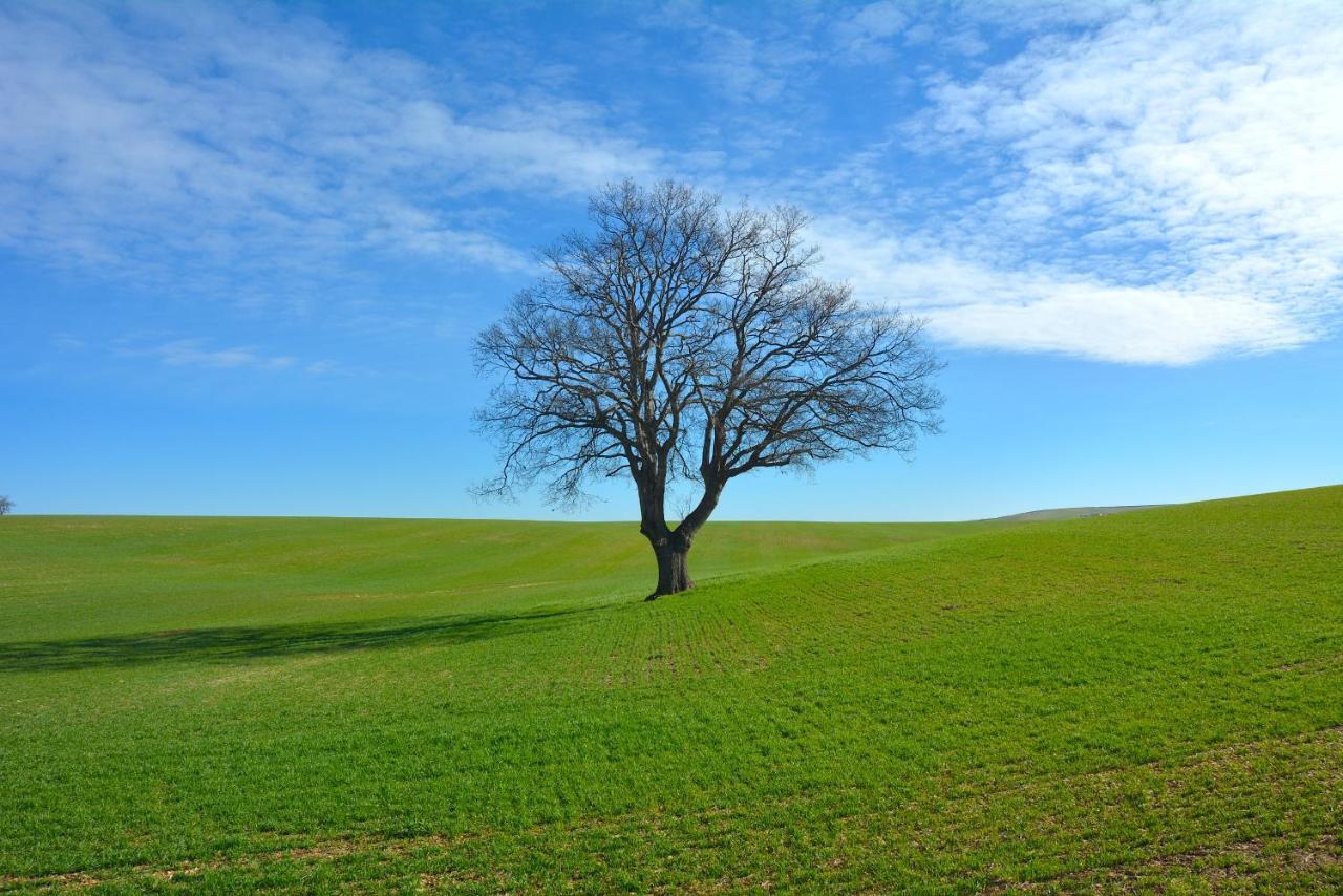 Vacanze Murgiane Altamura Buitenkant foto